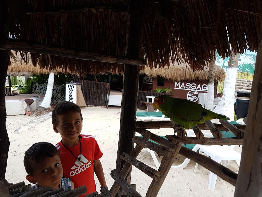 Costa Del Mar Otel Playa del Carmen Dış mekan fotoğraf